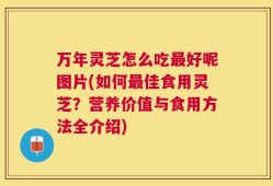 万年灵芝怎么吃最好呢图片(如何最佳食用灵芝？营养价值与食用方法全介绍)