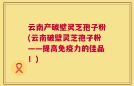 云南产破壁灵芝孢子粉(云南破壁灵芝孢子粉——提高免疫力的佳品！)