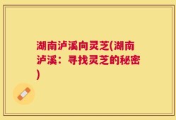 湖南泸溪向灵芝(湖南泸溪：寻找灵芝的秘密)