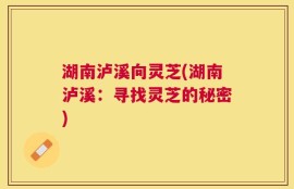 湖南泸溪向灵芝(湖南泸溪：寻找灵芝的秘密)