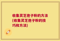 收集灵芝孢子粉的方法(收集灵芝孢子粉的技巧和方法)