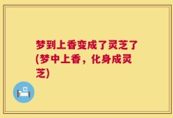 梦到上香变成了灵芝了(梦中上香，化身成灵芝)