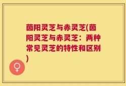 茵阳灵芝与赤灵芝(茵阳灵芝与赤灵芝：两种常见灵芝的特性和区别)