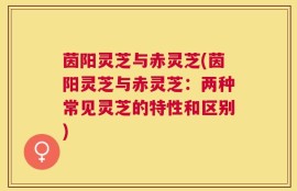 茵阳灵芝与赤灵芝(茵阳灵芝与赤灵芝：两种常见灵芝的特性和区别)