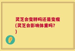 灵芝会变胖吗还是变瘦(灵芝会影响体重吗？)