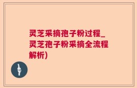 灵芝采摘孢子粉过程_灵芝孢子粉采摘全流程解析)