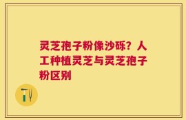 灵芝孢子粉像沙砾？人工种植灵芝与灵芝孢子粉区别