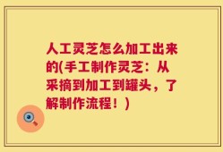 人工灵芝怎么加工出来的(手工制作灵芝：从采摘到加工到罐头，了解制作流程！)