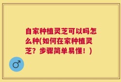 自家种植灵芝可以吗怎么种(如何在家种植灵芝？步骤简单易懂！)