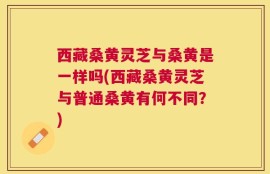 西藏桑黄灵芝与桑黄是一样吗(西藏桑黄灵芝与普通桑黄有何不同？)