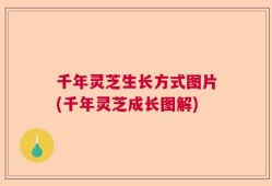 千年灵芝生长方式图片(千年灵芝成长图解)