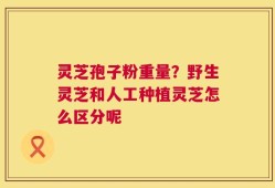 灵芝孢子粉重量？野生灵芝和人工种植灵芝怎么区分呢