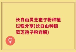 长白山灵芝孢子粉种植过程分享(长白山种植灵芝孢子粉详解)