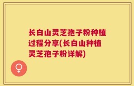 长白山灵芝孢子粉种植过程分享(长白山种植灵芝孢子粉详解)