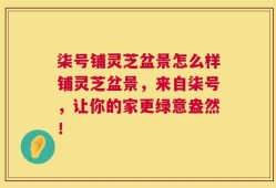 柒号铺灵芝盆景怎么样铺灵芝盆景，来自柒号，让你的家更绿意盎然！