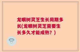 龙眼树灵芝生长周期多长(龙眼树灵芝需要生长多久才能成熟？)