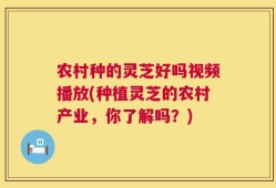 农村种的灵芝好吗视频播放(种植灵芝的农村产业，你了解吗？)