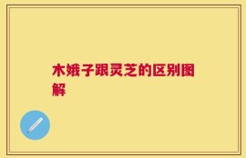 木娥子跟灵芝的区别图解