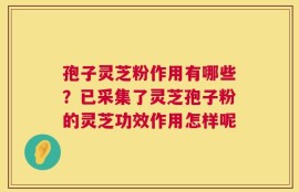 孢子灵芝粉作用有哪些？已采集了灵芝孢子粉的灵芝功效作用怎样呢