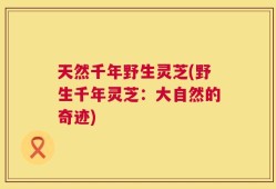 天然千年野生灵芝(野生千年灵芝：大自然的奇迹)