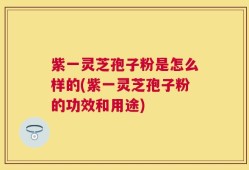 紫一灵芝孢子粉是怎么样的(紫一灵芝孢子粉的功效和用途)