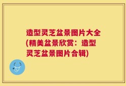 造型灵芝盆景图片大全(精美盆景欣赏：造型灵芝盆景图片合辑)