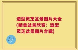 造型灵芝盆景图片大全(精美盆景欣赏：造型灵芝盆景图片合辑)