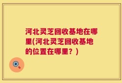 河北灵芝回收基地在哪里(河北灵芝回收基地的位置在哪里？)