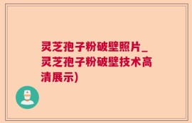 灵芝孢子粉破壁照片_灵芝孢子粉破壁技术高清展示)