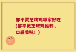 邹平灵芝烤鸡哪家好吃(邹平灵芝烤鸡推荐，口感美味！)