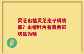 灵芝山楂灵芝孢子粉胶囊？山楂叶片有黄色斑块是为啥