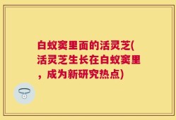 白蚁窦里面的活灵芝(活灵芝生长在白蚁窦里，成为新研究热点)
