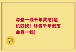 命悬一线千年灵芝(危机四伏！珍贵千年灵芝命悬一线)