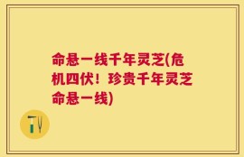 命悬一线千年灵芝(危机四伏！珍贵千年灵芝命悬一线)