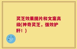 灵芝效果图片和文案高级(神奇灵芝，强效护肝！)