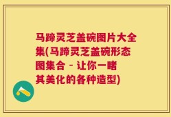 马蹄灵芝盖碗图片大全集(马蹄灵芝盖碗形态图集合 - 让你一睹其美化的各种造型)