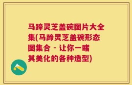 马蹄灵芝盖碗图片大全集(马蹄灵芝盖碗形态图集合 - 让你一睹其美化的各种造型)