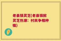老县镇灵芝(老县镇掀灵芝热潮：村民争相种植)