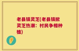 老县镇灵芝(老县镇掀灵芝热潮：村民争相种植)