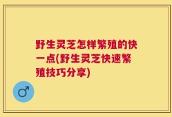 野生灵芝怎样繁殖的快一点(野生灵芝快速繁殖技巧分享)