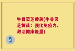 牛骨灵芝黄芪(牛骨灵芝黄芪：强化免疫力、激活健康能量)