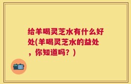 给羊喝灵芝水有什么好处(羊喝灵芝水的益处，你知道吗？)