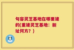 句容灵芝基地在哪里建的(重建灵芝基地：新址何方？)