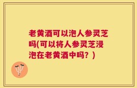 老黄酒可以泡人参灵芝吗(可以将人参灵芝浸泡在老黄酒中吗？)