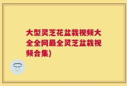 大型灵芝花盆栽视频大全全网最全灵芝盆栽视频合集)