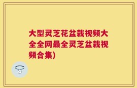 大型灵芝花盆栽视频大全全网最全灵芝盆栽视频合集)