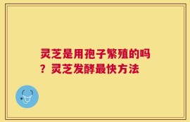灵芝是用孢子繁殖的吗？灵芝发酵最快方法