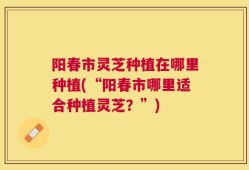 阳春市灵芝种植在哪里种植(“阳春市哪里适合种植灵芝？”)