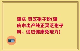 肇庆 灵芝孢子粉(肇庆市出产纯正灵芝孢子粉，促进健康免疫力)