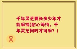 千年灵芝要长多少年才能采摘(耐心等待，千年灵芝何时才可采？)